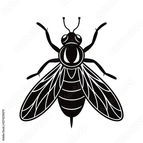 mediterranean fruit fly vector illustration