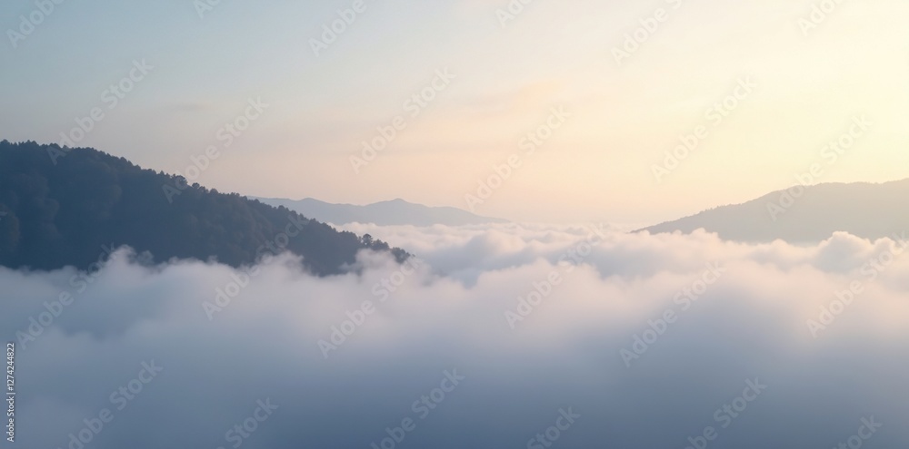 Soft morning fog gradually fades into a gray sky with subtle gradient hues, landscape, nature, serene Soft morning fog gradually fades into a gray sky with subtle gradient hues, landscape, nature, serene
