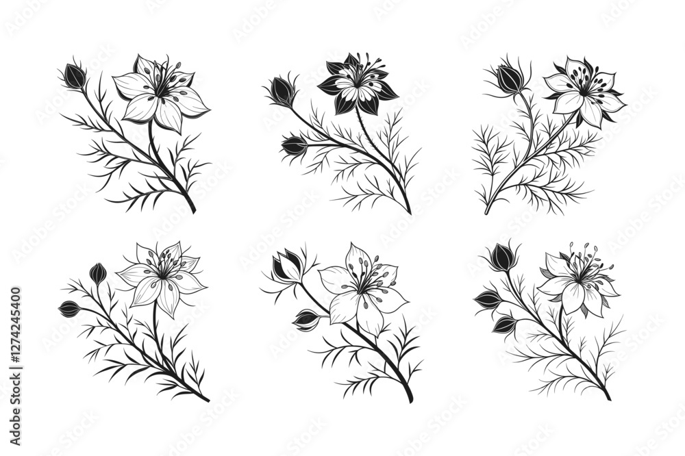 Obraz premium Love-in-a-Mist (Nigella damascena) silhouette vector illustration