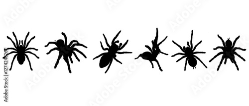 set of tarantula silhouette