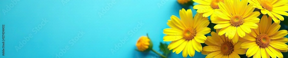 Blue background with a bundle of yellow daisies, colorful, spring Blue background with a bundle of yellow daisies, colorful, spring