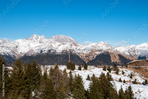 monte zoncolan ski resort in italy photo