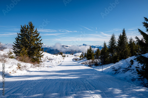 monte zoncolan ski resort in italy photo