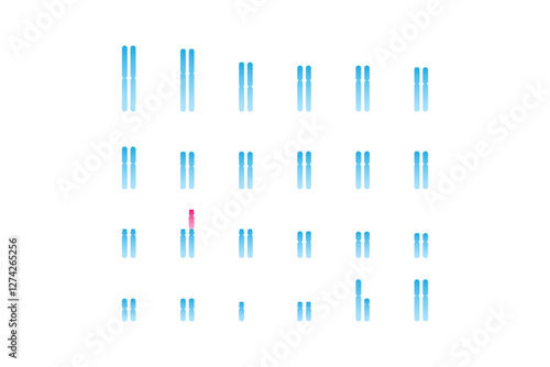 Translocation Down Syndrome Science Design. Vector Illustration.