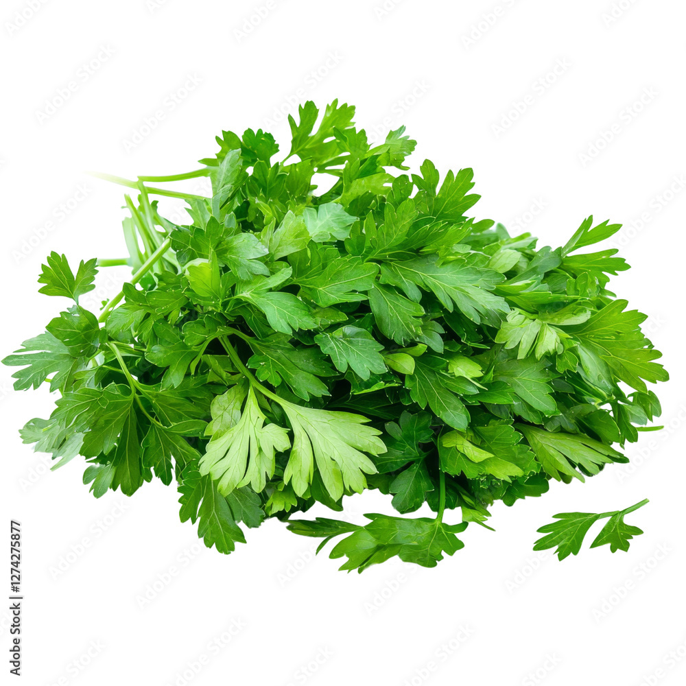 Fresh green parsley leaves arranged in vibrant pile, showcasing their rich color and texture, perfect for culinary use or garnishing dishes Fresh green parsley leaves arranged in vibrant pile, showcasing their rich color and texture, perfect for culinary use or garnishing dishes