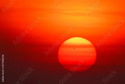 This stunning high-resolution video captures the Sun up close, showing intense reds, oranges and yellows. The Sun appears as a large sphere in the dark sky, with the lower part 