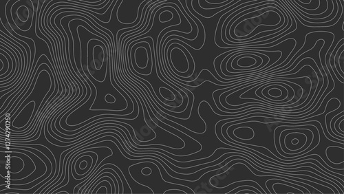 he grey white on black contours vector topography stylized height of the lines. The concept of a conditional geography scheme and the terrain path.