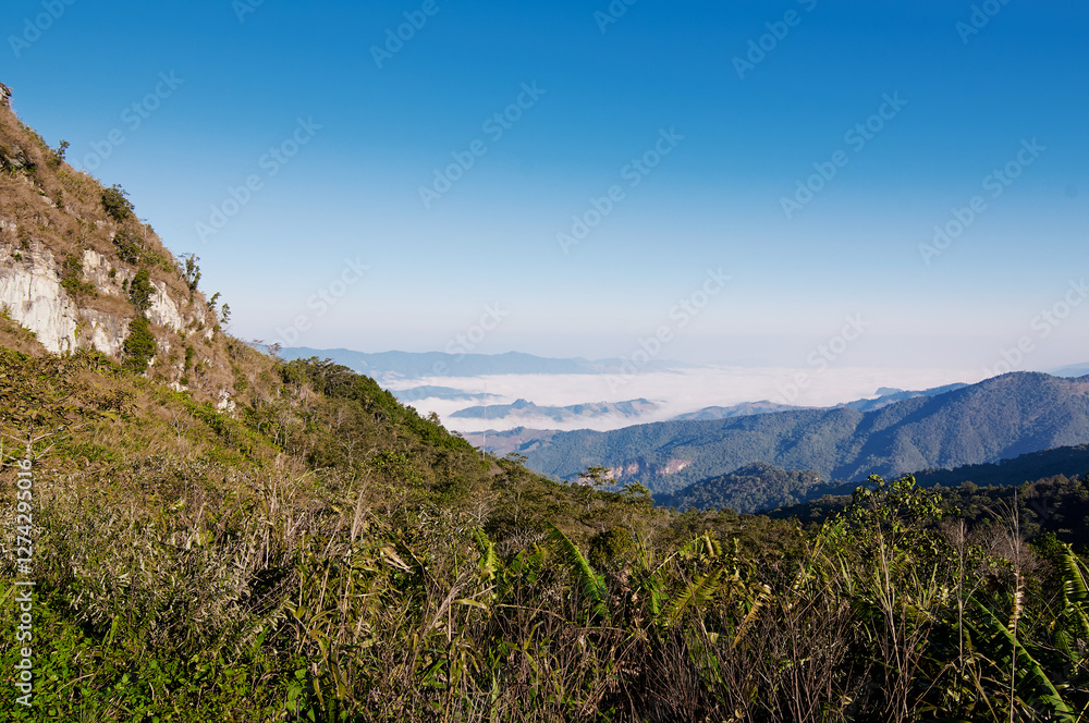 A scenic view of a mountainous landscape with lush greenery and a clear blue sky. Mist covers the valleys, creating a serene and tranquil atmosphere. A scenic view of a mountainous landscape with lush greenery and a clear blue sky. Mist covers the valleys, creating a serene and tranquil atmosphere.