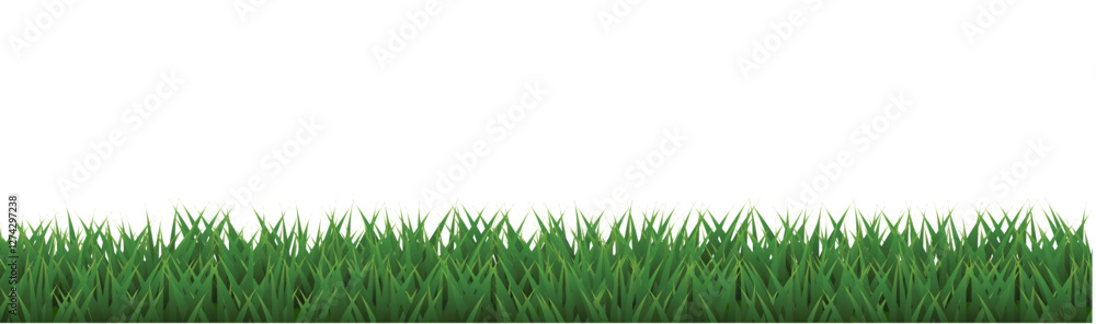 Obraz premium green grass background