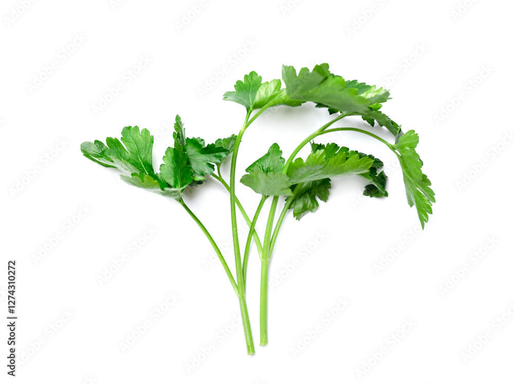 Fototapeta premium Sprigs of fresh parsley isolated on white, top view