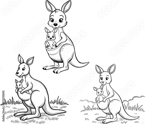 mother and baby kangaroo coloring page vector set, illustration , sketching , coloring book ,australian kangaroo , outline drawing ,	
