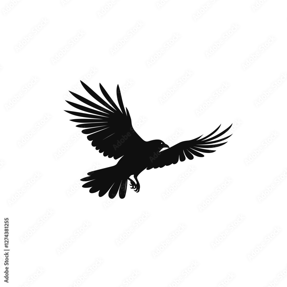 Fototapeta premium silhouette of an raven