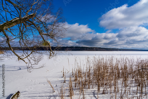 Fototapeta Naklejka Na Ścianę i Meble -  Nidzkie Lake in winter. Landscape of Masuria in Poland.