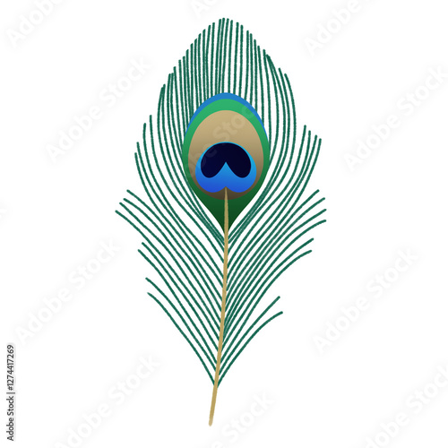 Mayilpeeli, peacock feather or mor pankh isolated on transparent background, png image, for festival of vishu and janmashtami 