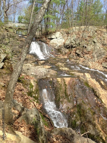 hidden waterfall in the woods