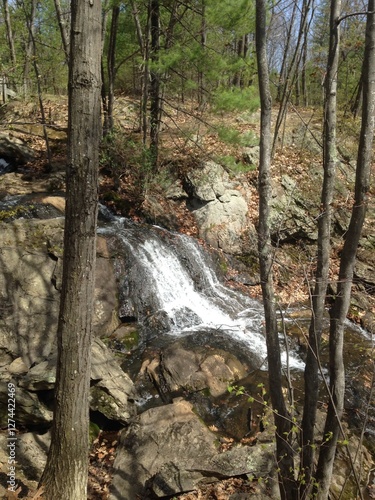 waterfall in the woods