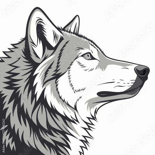 vector illustration of wolf