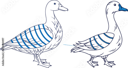 A white duck with blue stripes 