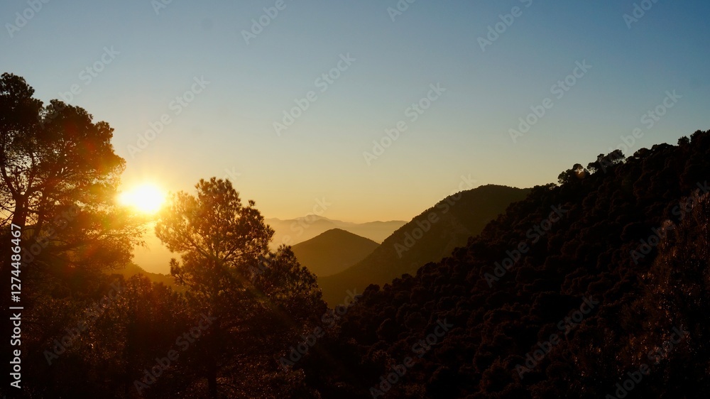 custom made wallpaper toronto digitalWalking in winter mountains of Sierra Espuña, Murcia, Spain, golden hour