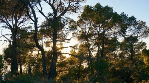 Foto Walking in winter mountains of Sierra Espuña, Murcia, Spain, golden hour