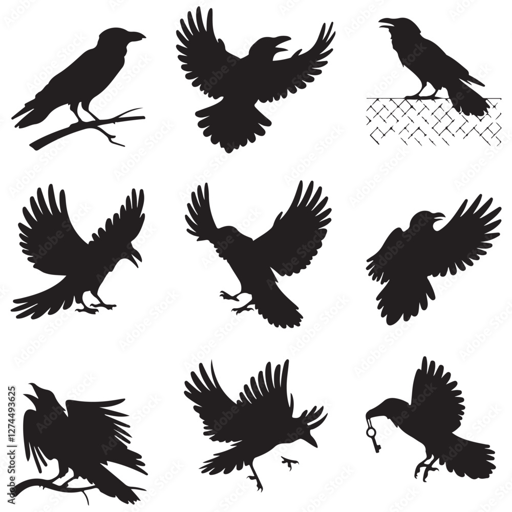 Obraz premium Silhouettes of wild birds in flight Raven Silhouette Pigeons Flying Silhouettes 6 Silhouettes – Birds