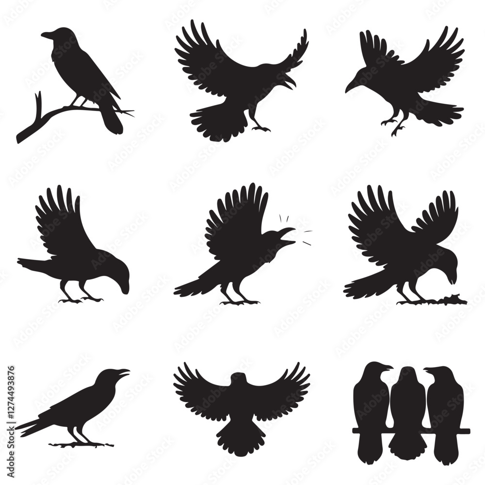 Obraz premium Silhouettes of wild birds in flight Raven Silhouette Pigeons Flying Silhouettes 6 Silhouettes – Birds
