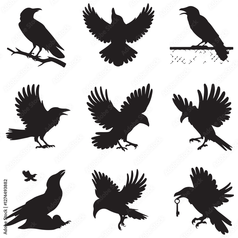 Obraz premium Silhouettes of wild birds in flight Raven Silhouette Pigeons Flying Silhouettes 6 Silhouettes – Birds