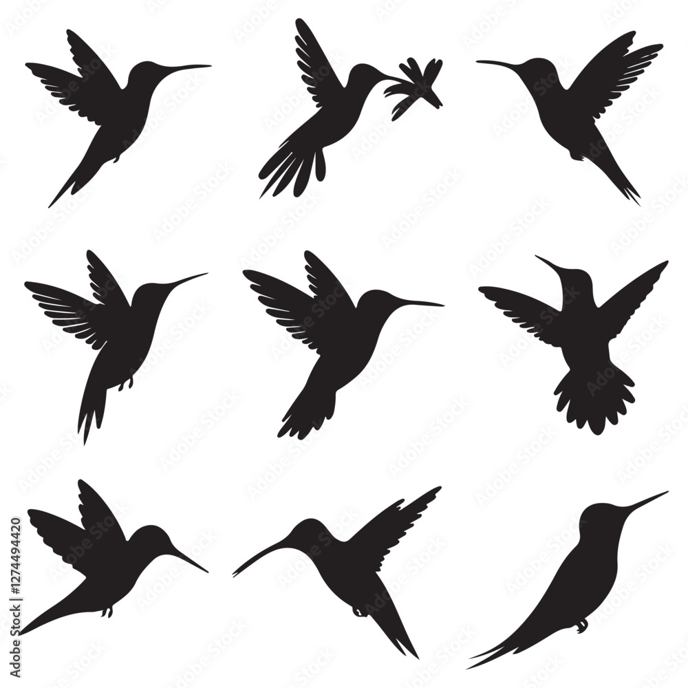 Obraz premium Silhouettes of wild birds in flight Raven Silhouette Pigeons Flying Silhouettes 6 Silhouettes – Birds