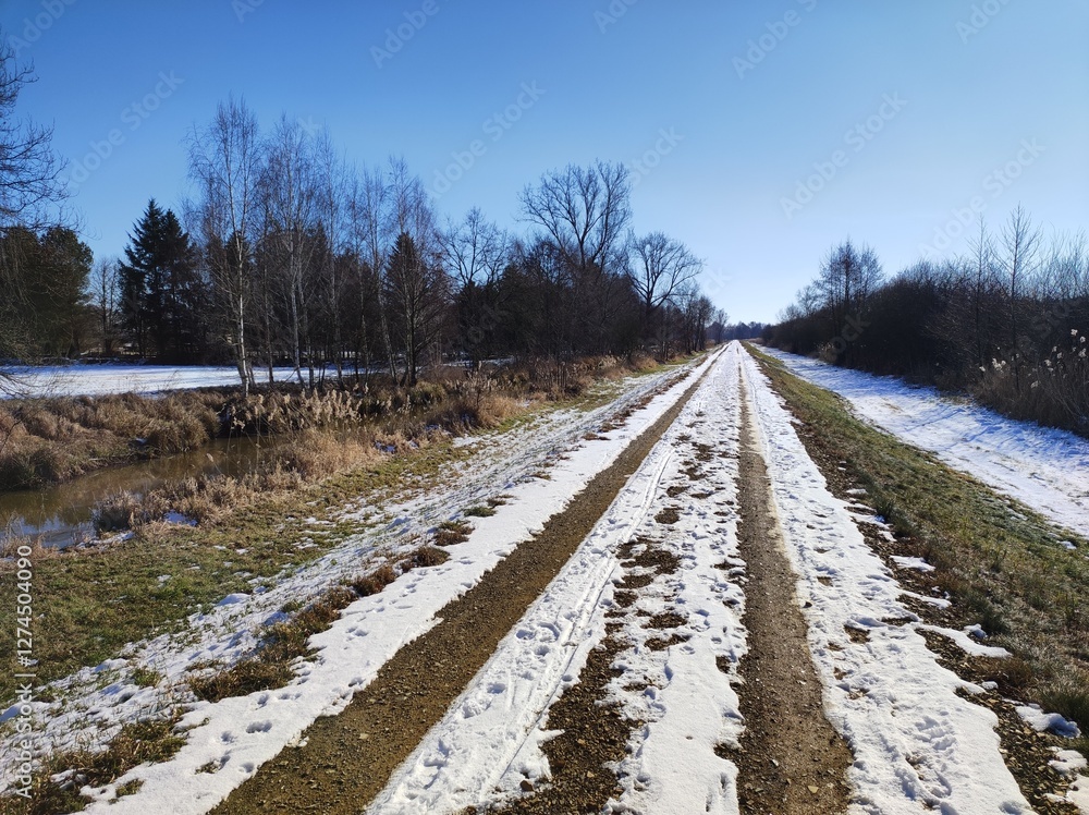 Obraz premium Hochwasserschutzdeich im Spreewald mit Schnee