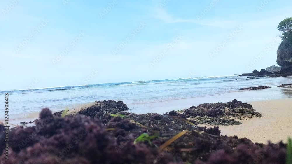 Enjoying the ocean view at Geger beach, Bali. Enjoying the ocean view at Geger beach, Bali.