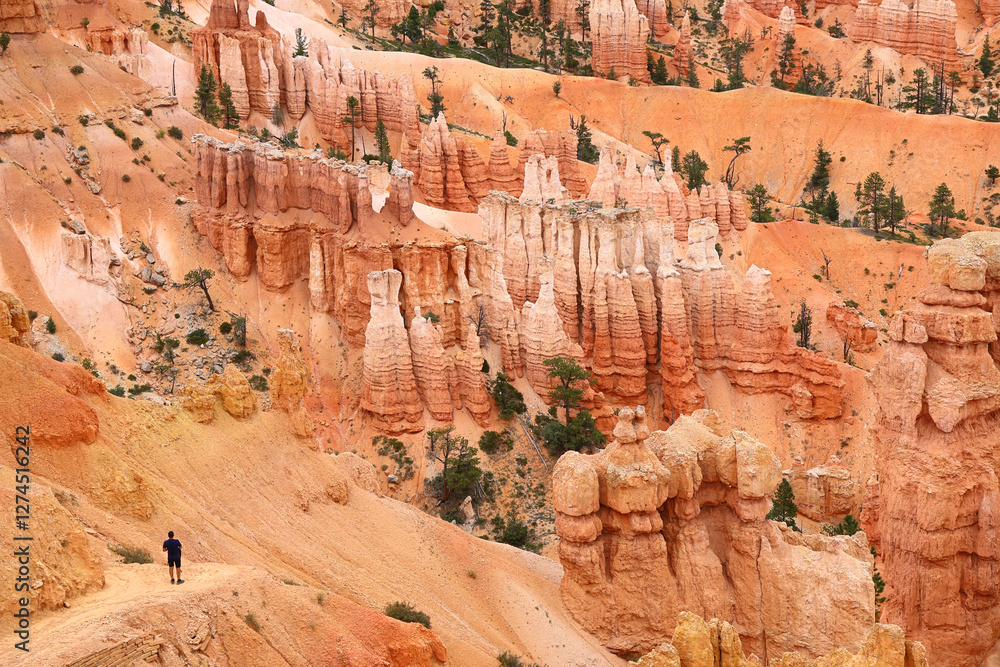 Man looks out on Bryce Canyon National Park with its amazing geological Hoodoos formations in Southwestern Utah. Man looks out on Bryce Canyon National Park with its amazing geological Hoodoos formations in Southwestern Utah.