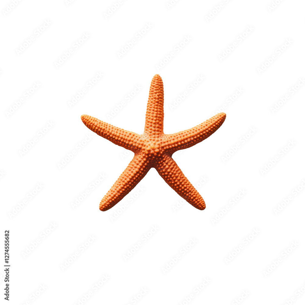 Isolated vibrant starfish on clean white background with soft lighting Isolated vibrant starfish on clean white background with soft lighting