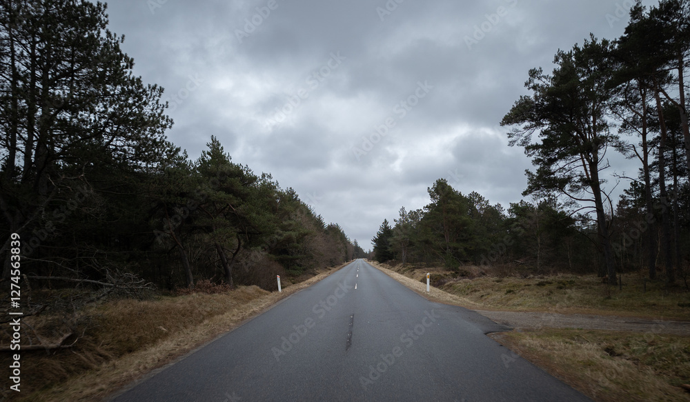 Car road to the North sea through the forest. Nordjylland (North Jutland Region), Denmark