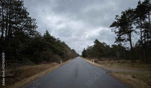 Obraz na płótnie Car road to the North sea through the forest. Nordjylland (North Jutland Region), Denmark w salonie