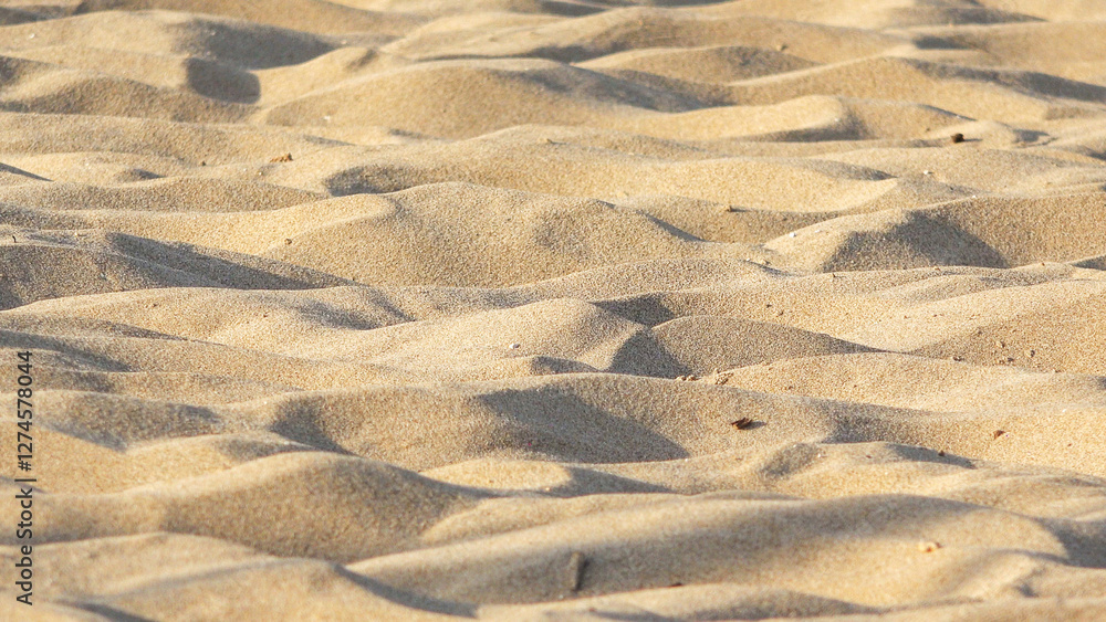 Fototapeta premium Detail of sand dunes in the desert
