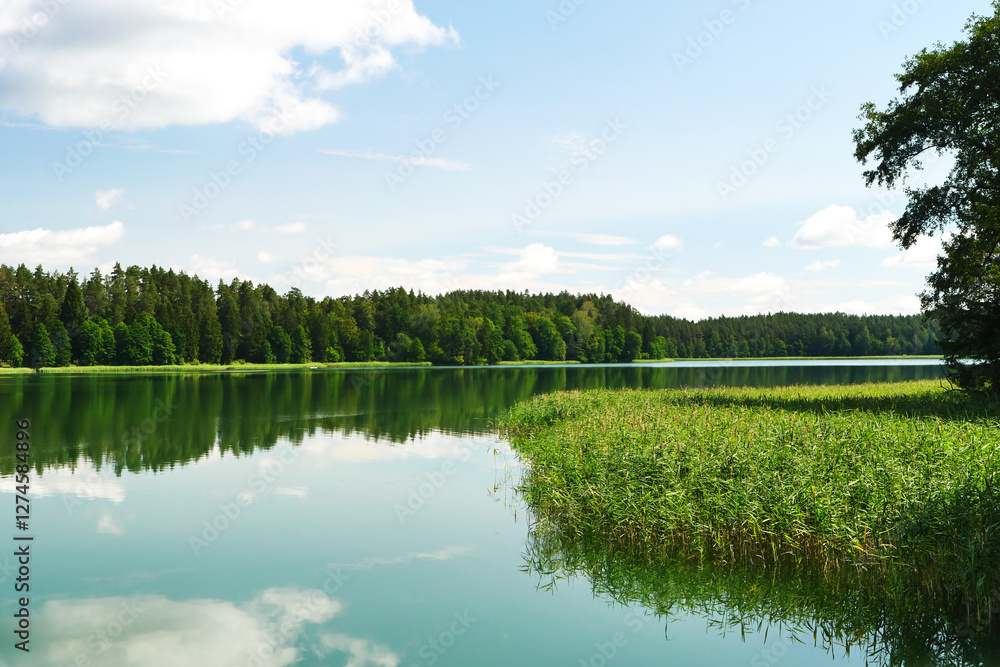 Obraz premium On the shore of the lake