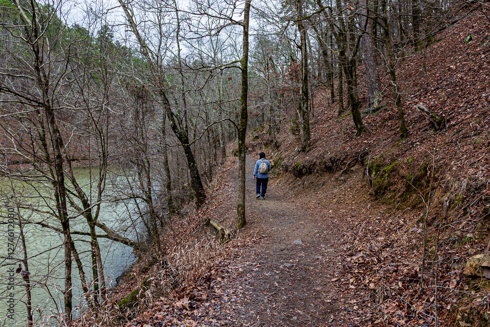Fototapeta premium Hiking Falls Branch Trail at Lake Catherine State Park in Hot Springs Arkansas.