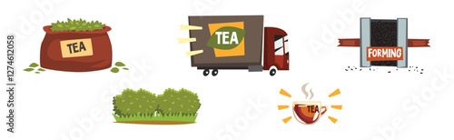 Tea Production and Process with Growing and Distribution Vector Set