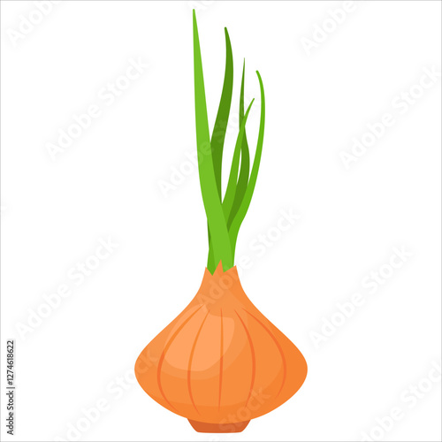 Fresh cartoon vegetable onion.Isolated on white background.