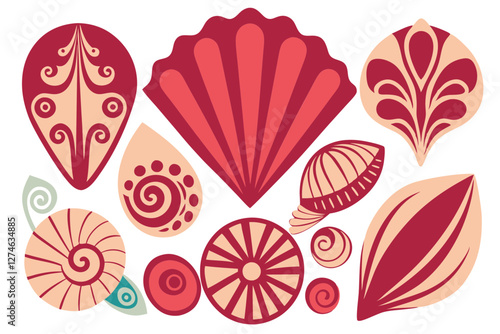 Variety of Seashell Types. Detailed Natural Patterns Showcase