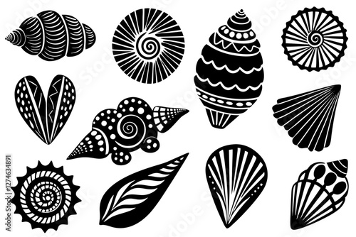 Variety of Seashell Types. Detailed Natural Patterns Showcase