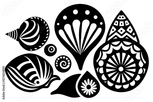 Variety of Seashell Types. Detailed Natural Patterns Showcase