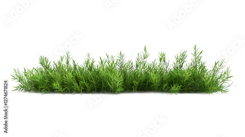Photorealistic 3D green grass rendering, transparent backdrop highlighting natural texture for architectural designs and creative projects