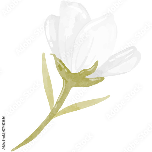 Jasmine flower with a leaf, beautifully captured in watercolor style