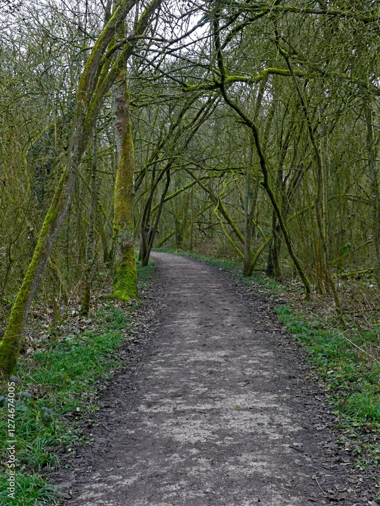 Fretin, February 2025: Hiking in the Fretin marshes, surrounded by trees and nature Fretin, February 2025: Hiking in the Fretin marshes, surrounded by trees and nature