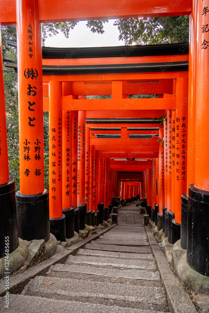shinto shrine arches in Fushimi Inari in Japan shinto shrine arches in Fushimi Inari in Japan