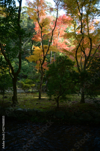 上賀茂神社　境内の紅葉　京都市北区 photo