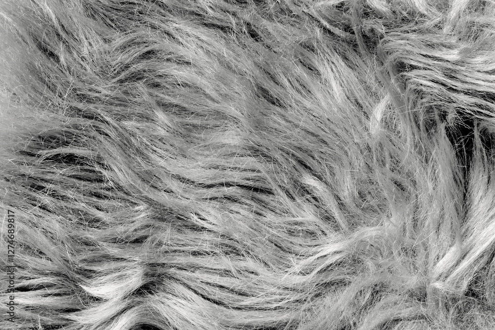 Obraz premium Gray fur texture background