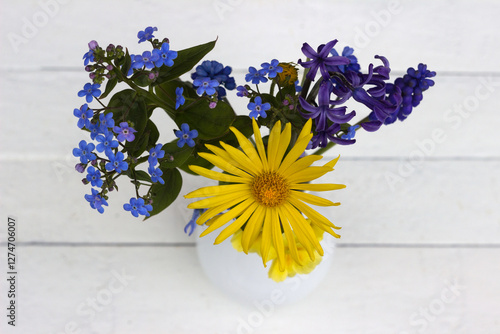 Yellow and blue spring flowers on a white background, top view. Chamomile, primrose, hyacinth, muscari and snowdrop