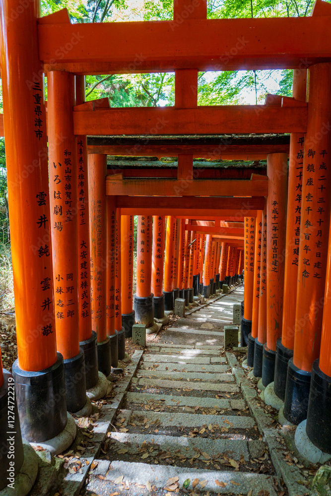 A pathway lined with vibrant orange torii gates at Fushimi Inari Shrine in Kyoto, Japan, creates a mesmerizing tunnel effect A pathway lined with vibrant orange torii gates at Fushimi Inari Shrine in Kyoto, Japan, creates a mesmerizing tunnel effect